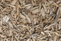 biomass boilers Tronston